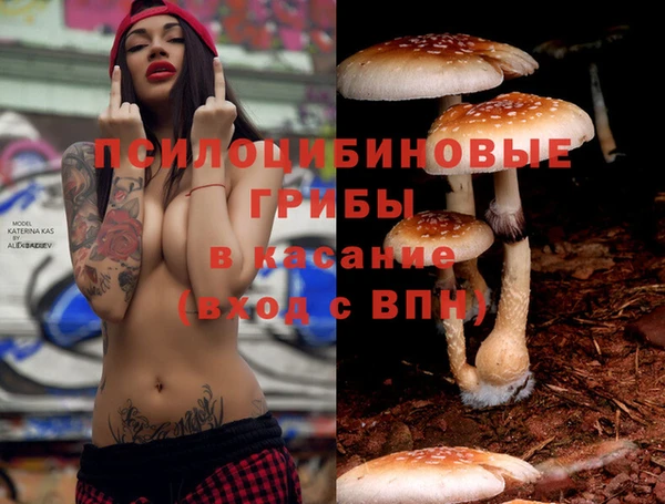 spice Абдулино