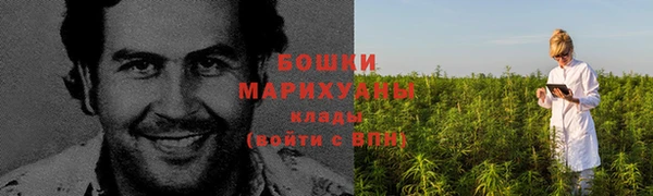 индика Михайлов