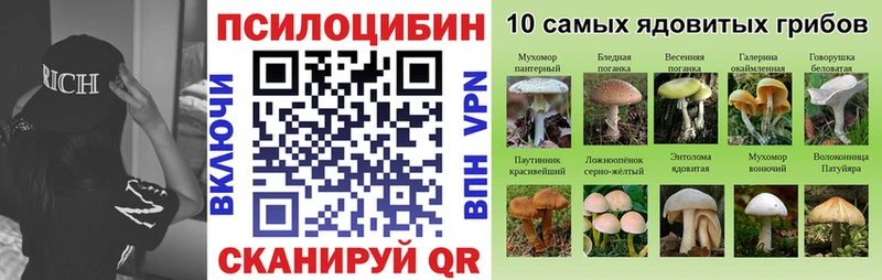 Галлюциногенные грибы ЛСД  магазин  наркотиков  Тбилисская 
